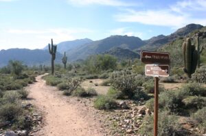 detox-guide-alcohol-recovery-west-valley-az