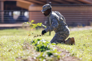 Men tending to a garden as part of their addiction recovery process.