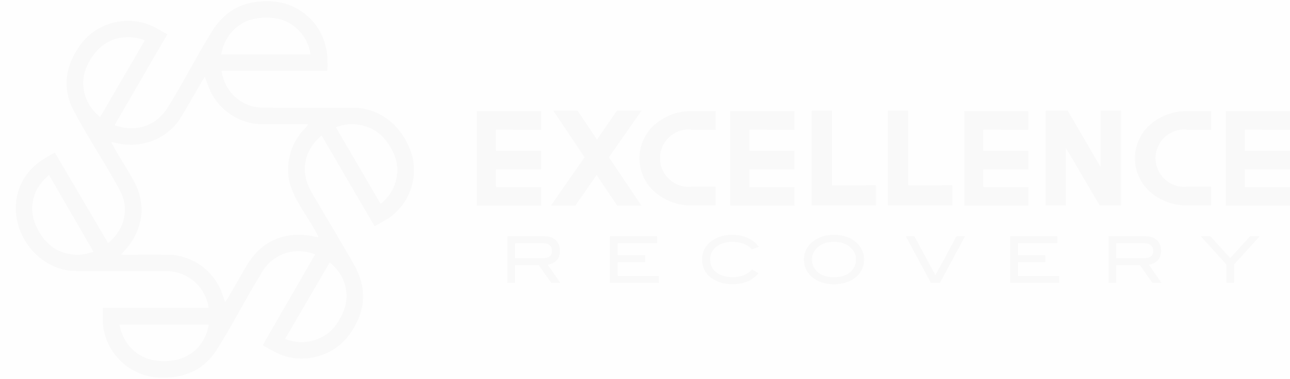 Excellence Recovery
