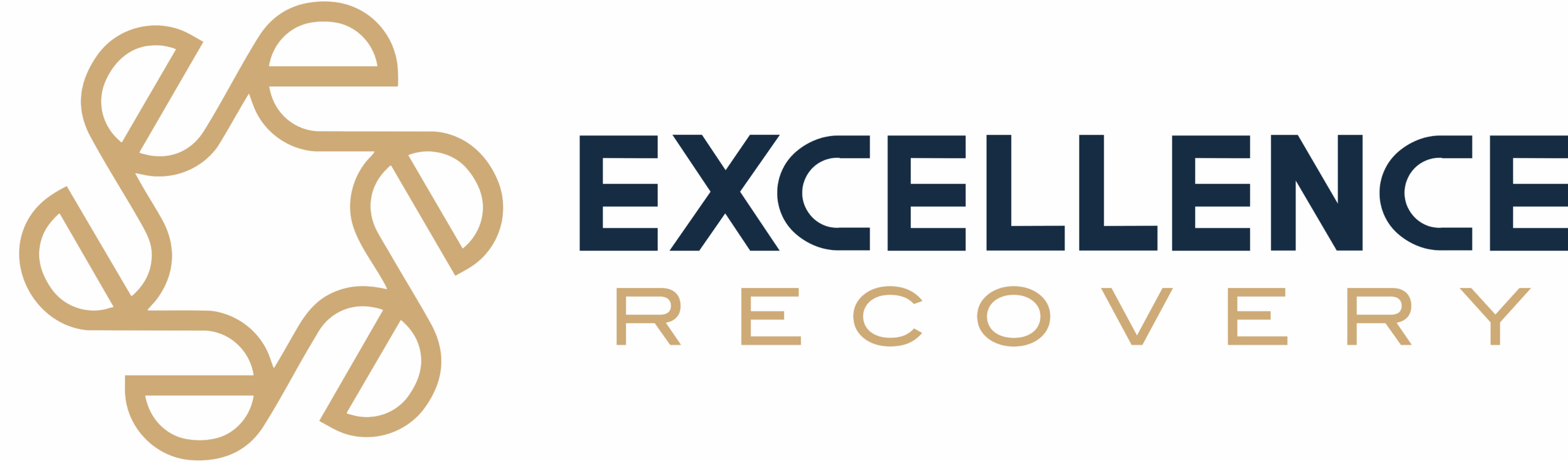 ER_Main Logo_Color