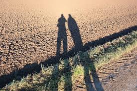 Shadows of two people on an Arizona desert road, symbolizing addiction and isolation