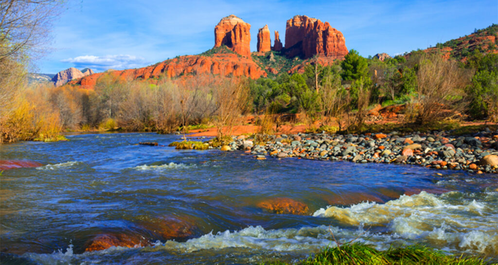mental-health-and-addiction-arizona-dual-diagnosis-recovery-excellence-recovery-buckeye