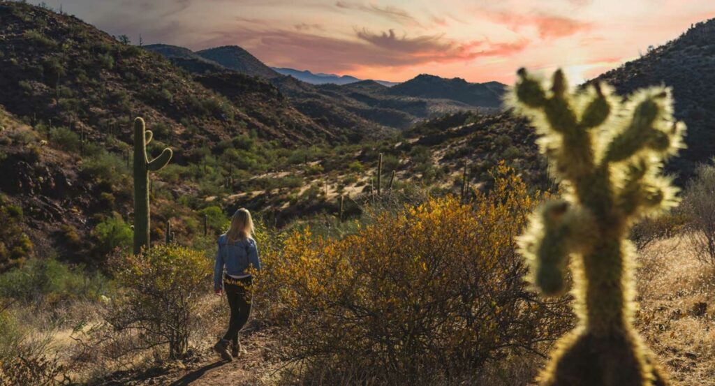 does-insurance-cover-detox-in-arizona-medical-detox-coverage-verified