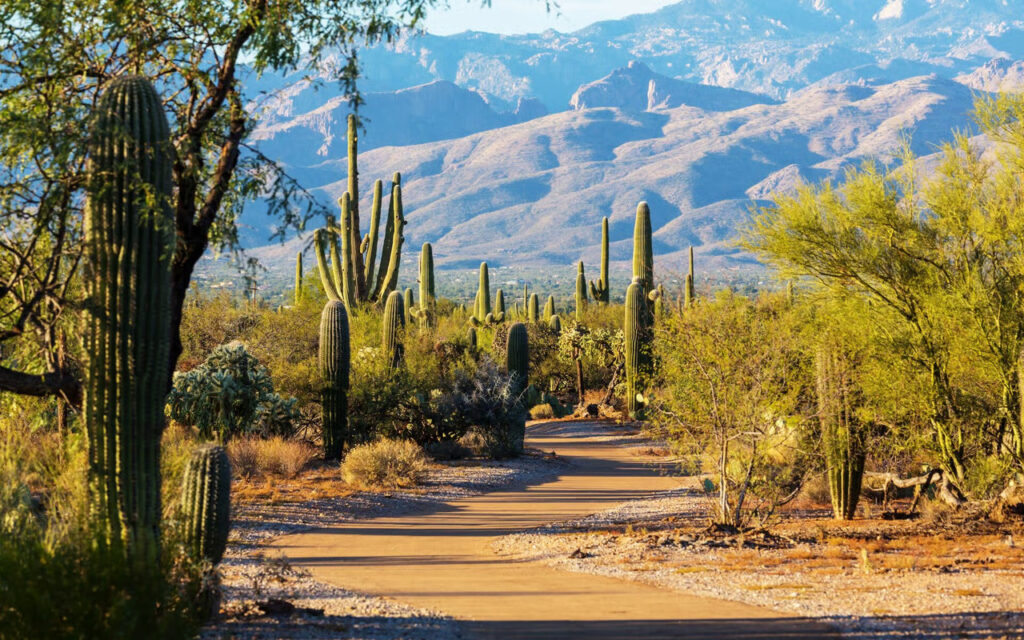 inpatient-rehab-programs-in-glendale-arizona-guide