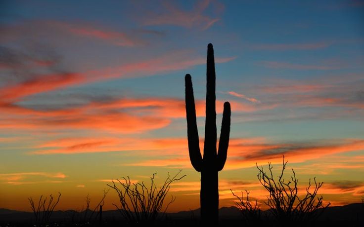 phoenix-drug-rehab-treatment-options-preparing-for-recovery