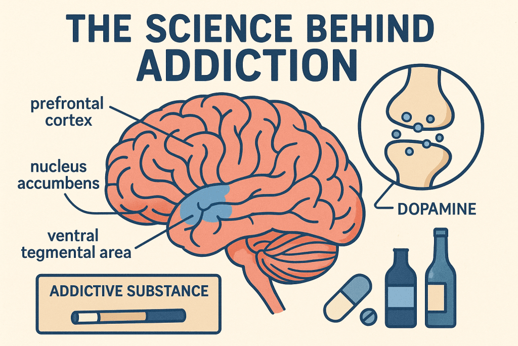 addiction-cravings-science-and-brain-chemistry-effects