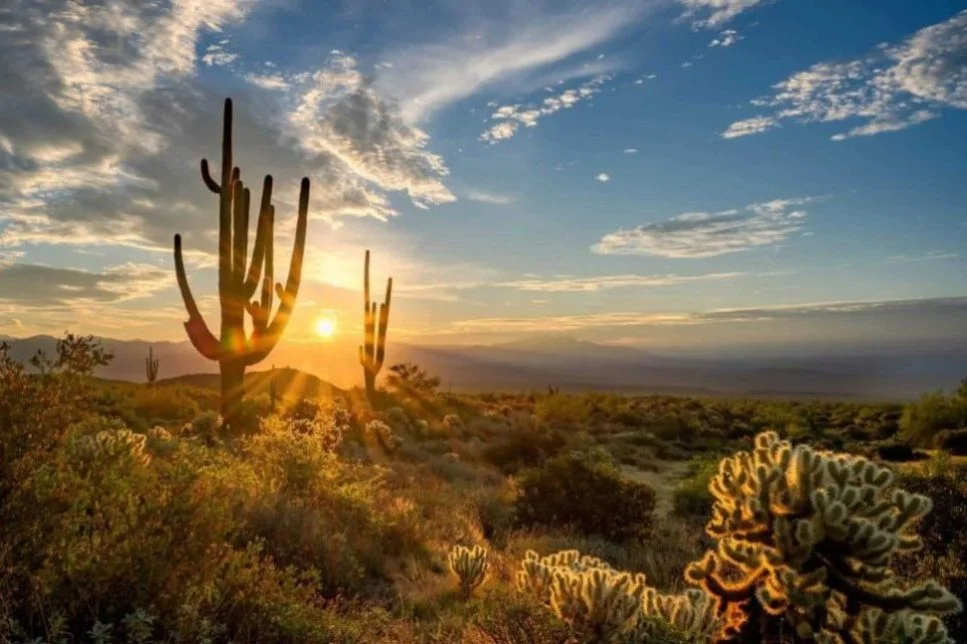 healthy-lifestyle-changes-supporting-sobriety-and-recovery-in-arizona