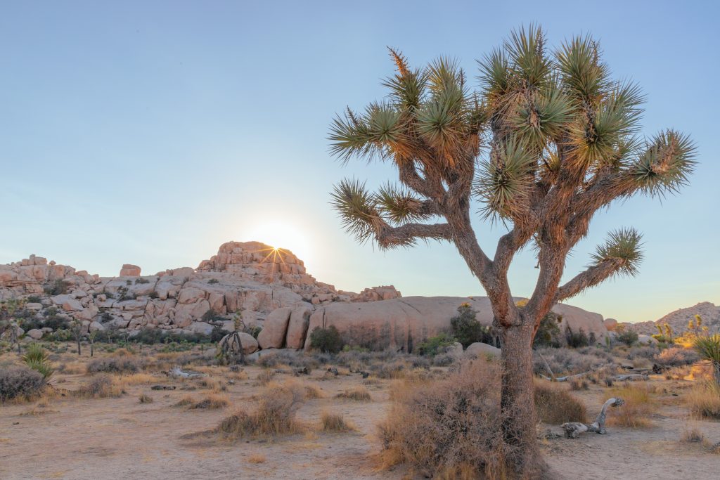 desert-isolation-impacting-addiction-recovery-and-mental-health-in-arizona