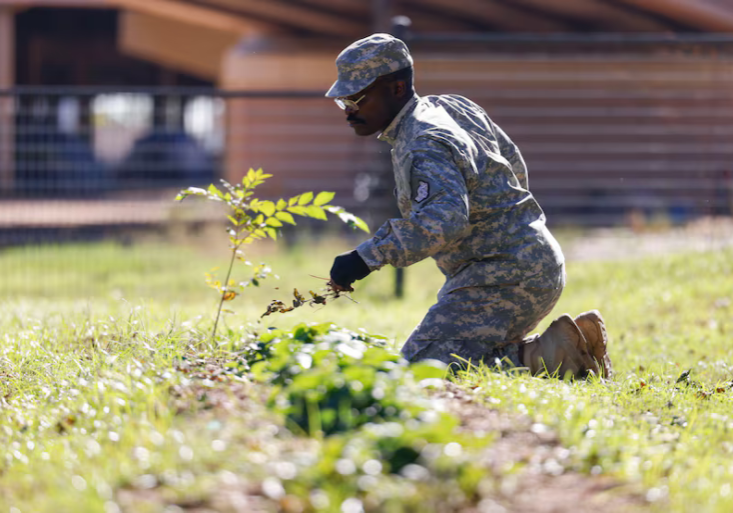 Men tending to a garden as part of their addiction recovery process.