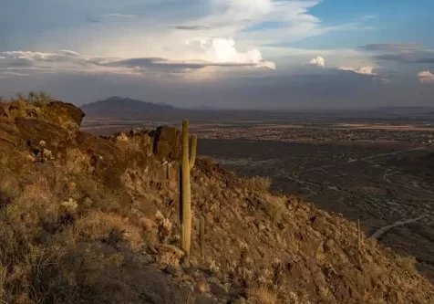detox-services-buckeye-az
