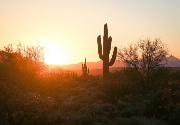 A client from Avondale, AZ, undergoing a transformative journey in addiction recovery with the help of Excellence Recovery’s supportive staff.